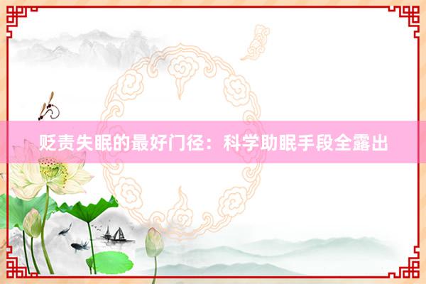 贬责失眠的最好门径：科学助眠手段全露出